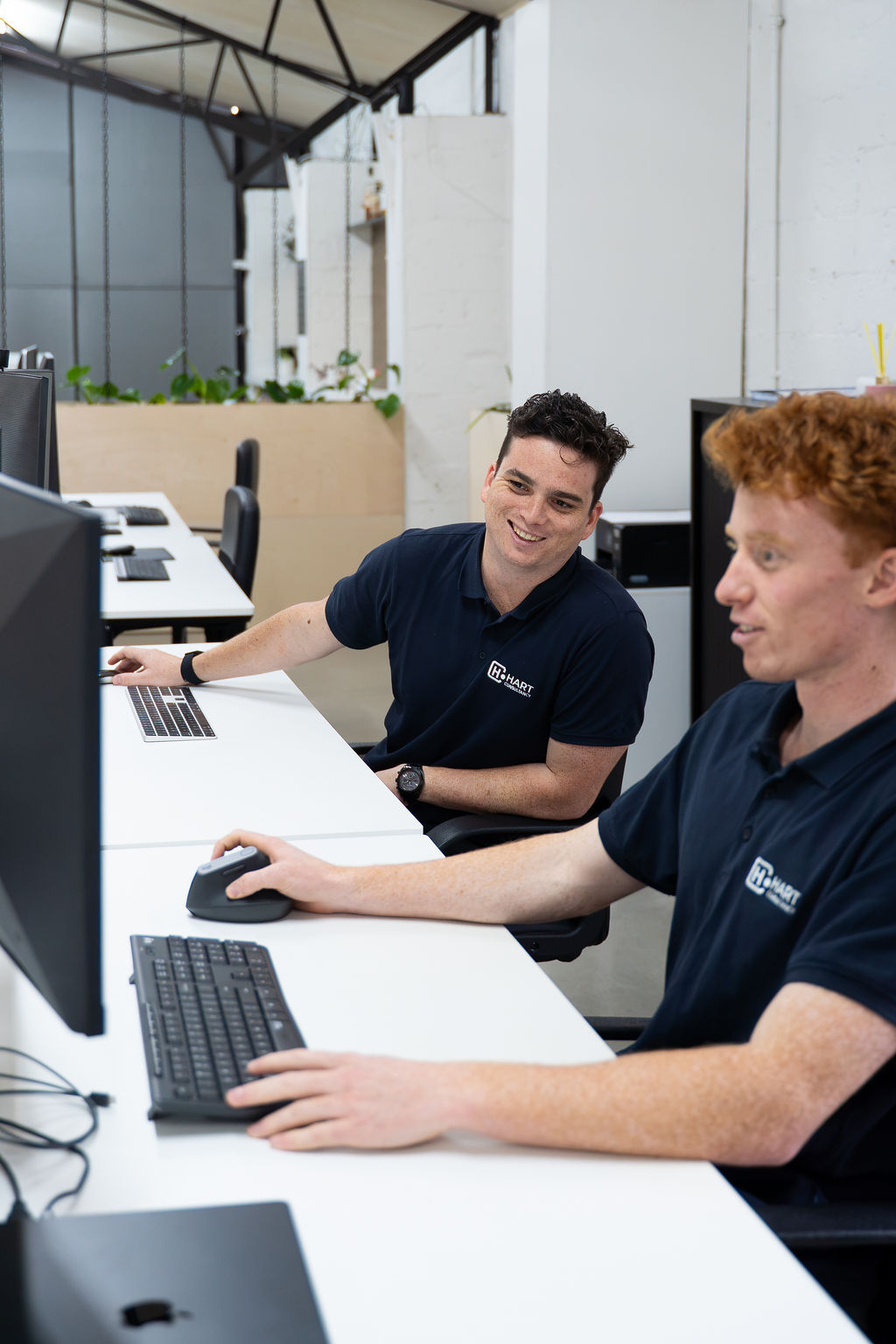 Hart Consultancy team working together at their desks
